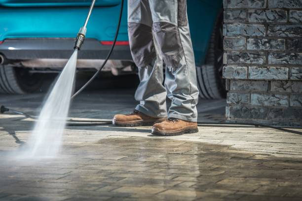 Best Driveway Pressure Washing  in Avis, PA