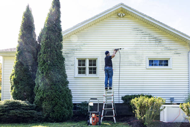 Best Sidewalk and Walkway Cleaning  in Avis, PA